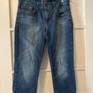 Classic Woman’s  Blue Denim Jeans